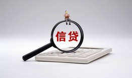 成都11大额短借-成都11哪里可以借钱-成都11个人工程贷款