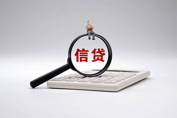 成都11大额短借